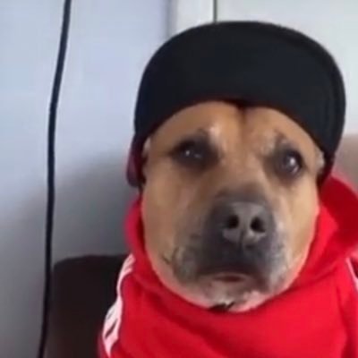 EdnaldoRamos_'s profile picture. 