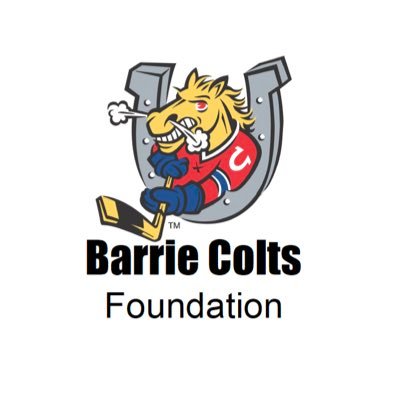 The Barrie Colts Foundation was established to support local charities and organizations and contribute to the on-going wellbeing of our community.