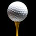 ⛳ Golf Promos (@PromosGolf) Twitter profile photo