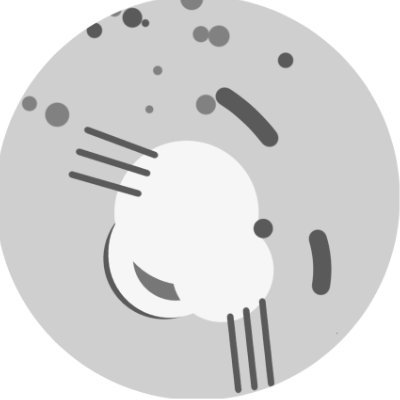 いもにもにさんのプロフィール画像