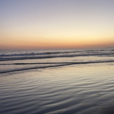 teddawis_rafik Profile Picture