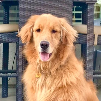 I miss bipartisan politicians. I love God, my family (human & furry) & my country. The TRUTH never changes & KINDNESS isn’t a weakness. God Bless America!
