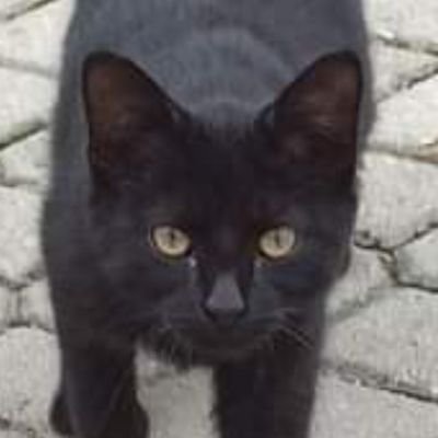 hirka16775397's profile picture. 