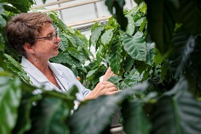 PoncetValrie1's profile picture.