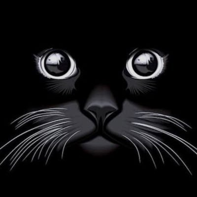 hepyek67's profile picture. Siz hepiniz; ben YEK.