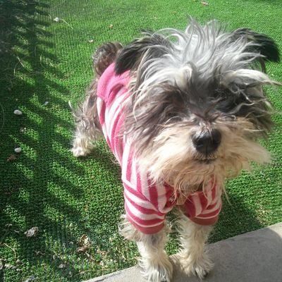 v_Koro_v's profile picture. RADWIMPSメジャーデビューからずっと応援してます。
Twitchでピアノ配信（ほぼRAD）も。

〜YouTubeチャンネル〜
https://t.co/UAOzpUOUNV