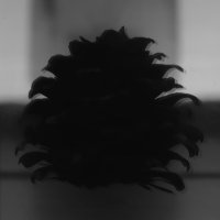Nads (@savedhistory) 's Twitter Profile