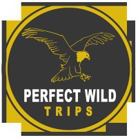 Perfect Wild Trips(@TripsPerfect) 's Twitter Profile Photo