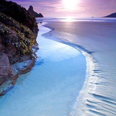 SaraiFuentes80's profile picture. Anti Amlo #FollowBack NO DM