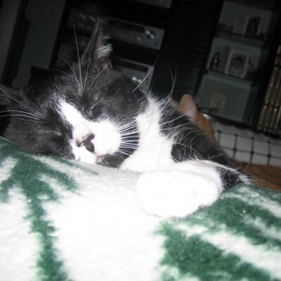 Miaguadulce1's profile image