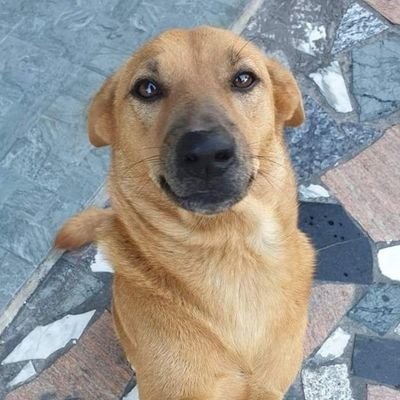 tagadole2004's profile picture. Trying hard Public Servant since 2004