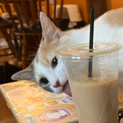 ame tib, notte babie fore (4) yeers old. Liek to sware and wiggol. Mye mombs are @jordanraye9 (she/her) and @smallinsaneone (it/they). She/her.
