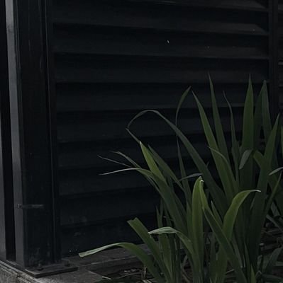 HoNgtha39271243's profile picture. 