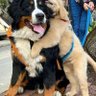 nefeerr's profile picture. Hola soy José me interesa leer, la naturaleza, los animales y el arte. Soy progresista y ecologista. Saludos espero que os gusten mis twits.
