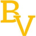 BVBaronBaseball Profile Picture