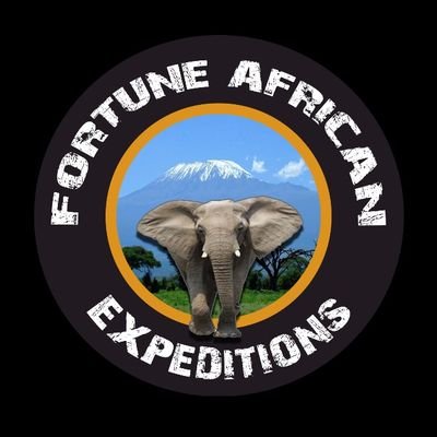 Lisenced ||Tour Operators in TANZANIA 🇹🇿
Wildlife Safaris||Mount KILIMANJARO and MERU Trekking||Adventures
Call & Whatsapp +255767155553