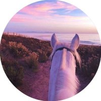 tariq abdulkarim (@tariqabdulkari4) 's Twitter Profile