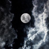 in silent words  (@halaelmhady) Twitter profile photo