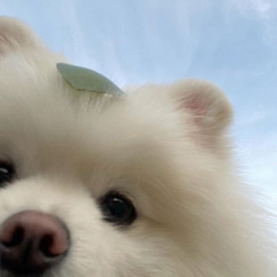 #제노 아님말구