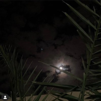 mtrb349070's profile picture. 