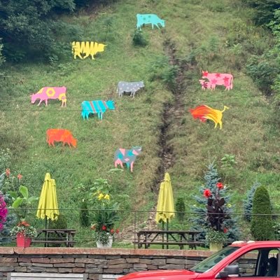 wastemangg's profile picture. with an environmental degree from UofT, and 20yrs in the waste business, I am constantly looking for new opportunities and great stories.