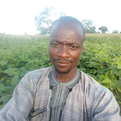 Aminusurajo2646's profile picture. 