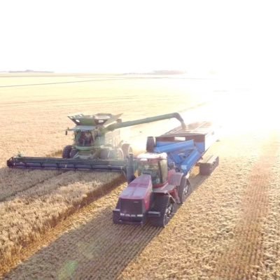 AlexVanCauwenb1's profile picture. Born and raised in Swan Lake MB