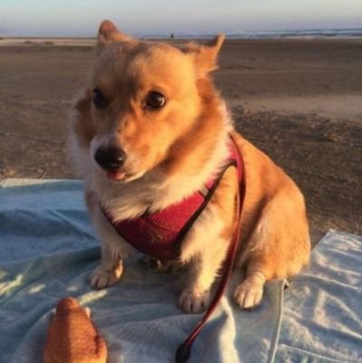 BelleRedx's profile picture. 