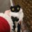 拉灯米猫さんのプロフィール画像