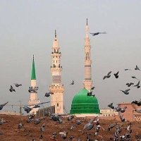 Here (@hererrrre) Twitter profile photo