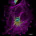 UConn Advanced Light Microscopy Facility (@uconnalmf) Twitter profile photo UConn Advanced Light Microscopy Facility (@uconnalmf) Twitter profile photo