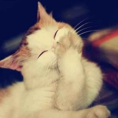 Welcome everyone😊 Gmail I'd Mudassaraslam622@gmai Instagram I'd @mudass___araslam48