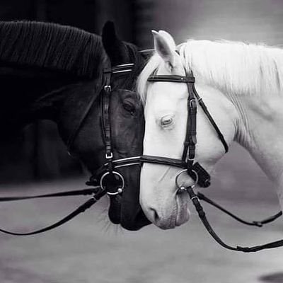 MARRI_9909's profile picture. 