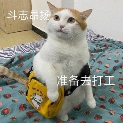 这个人很懒，什么也没留下