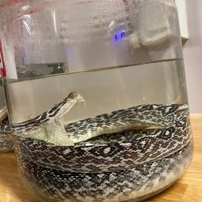 h6y9a8s11r7's profile picture. 