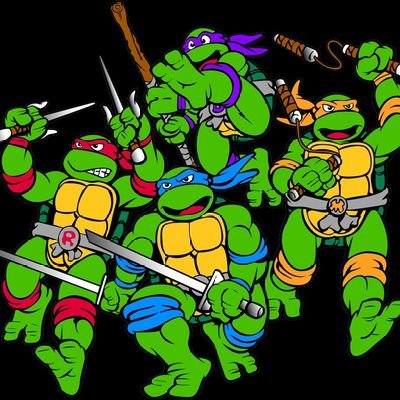 Turtle Leader Reviews.

Rediscovering a childhood love for the Teenage Mutant Ninja Turtles