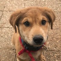 Heather Sullivan (@hsullivan34) 's Twitter Profile