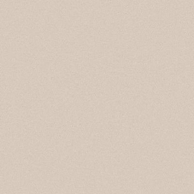 sami__48_'s profile picture. 🌈