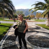 HÜLYA İLHAN (@lhanhlya) 's Twitter Profile