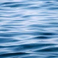 sea surface temperature extremes @UW 🌊 | prev @NorthwesternU 🌎