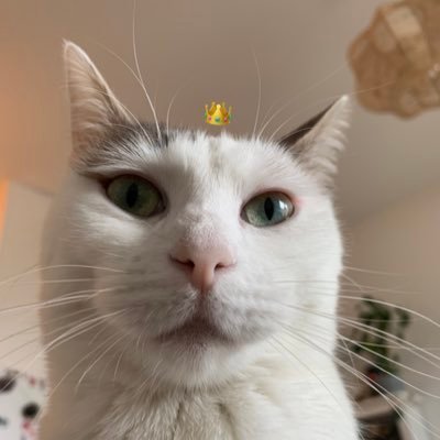 pauv__'s profile picture. 🌻