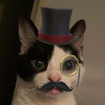 noodles78's profile picture. I have screamed at moths more times than I care to remember.