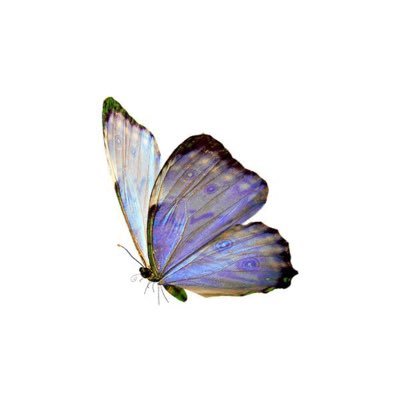 ﴿ رَبِّ اغْفِرْ لِي وَلِوَالِدَيَّ ﴾