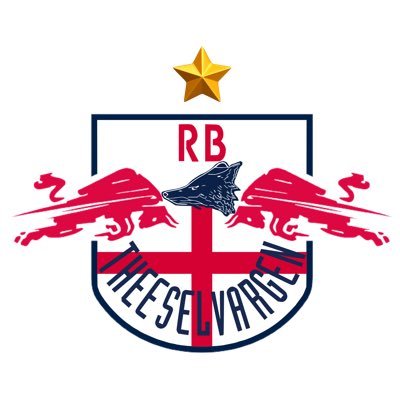 RB Theeselvargen 🏆さんのプロフィール画像