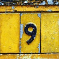 Station 9 (@kaiman9) 's Twitter Profile
