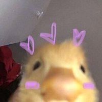 🍒WINS CUTIE 🍒 (@enha_simkungdan) 's Twitter Profile