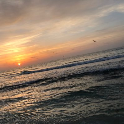 c31U4MgXjR6ymRm's profile picture. 好きなものが沢山。好きなものを好きなだけ。幸せは意外と目の前にあるよね。