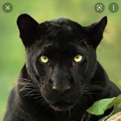 black1651977's profile picture. 😎Ellos vienen por tus recursos y también por tus hijos, DESPIERTA 😎