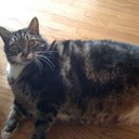 Cindy Foster-Baker - @Sind24 - Twitter