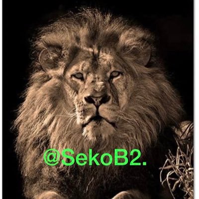 sekoB2's profile picture. DIOS UNIÓN LIBERTAD.